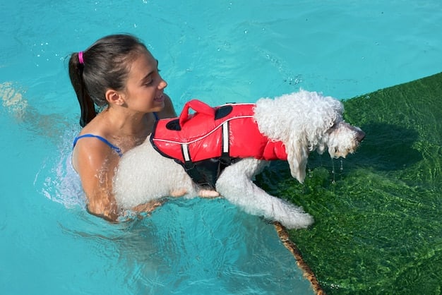 A senior Beagle happily swimming in a shallow pool with a supportive vest on. The dog is actively paddling, and there's a trainer nearby providing guidance.