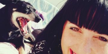 Avoid These 5 Pet Dental Care Mistakes Costing Owners Hundreds - Cover Image