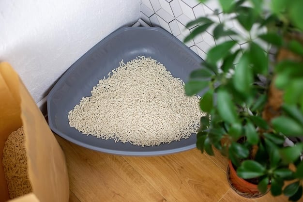 3 Litter Box Signs Your Cat Needs a Vet & How to Help