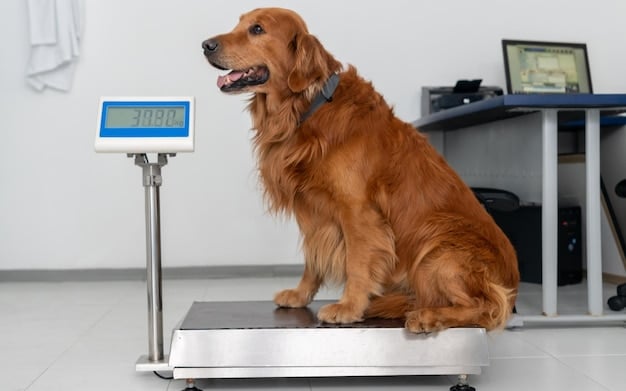 Is Your Pet Overweight? A Guide to Calculating Ideal Weight & Nutrition