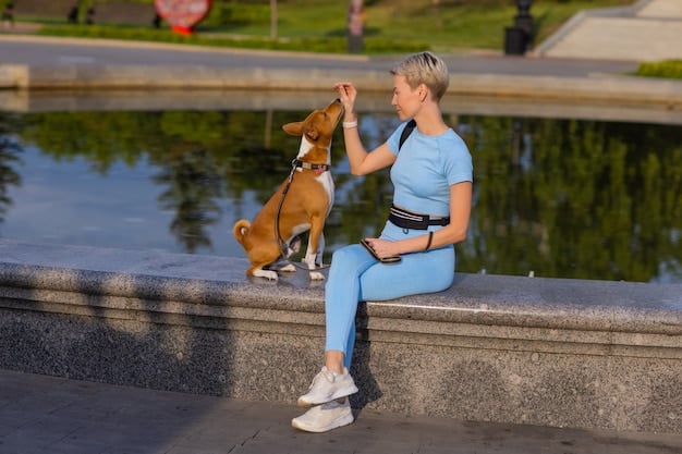 A small dog happily running on a treadmill designed for pets, wearing a supportive harness. A person is standing beside the treadmill, encouraging the dog with a treat.