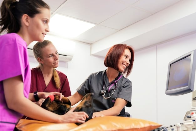 A veterinarian examining a panting dog in an emergency room setting. The vet is using a stethoscope and an assistant is preparing an IV drip.