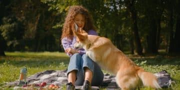 First Aid for Pets: 5 Essential Skills for Owners in 2025 - Cover Image