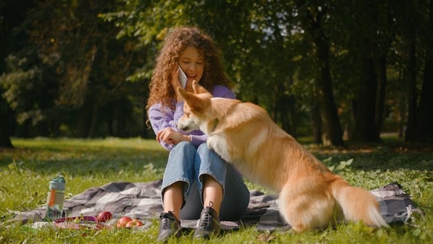 First Aid for Pets: 5 Essential Skills for Owners in 2025