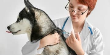 Understanding Pet Vaccinations: Protect Your Pet's Health in 2025 - Cover Image