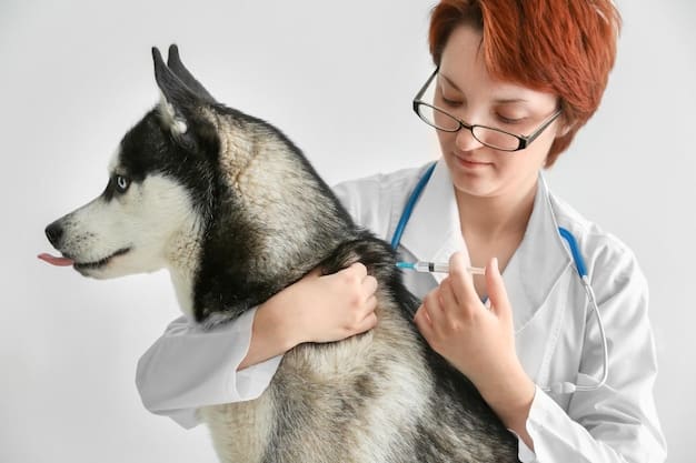 Understanding Pet Vaccinations: Protect Your Pet’s Health in 2025