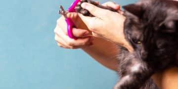 How to Trim Your Dog's Nails: A Step-by-Step Guide - Cover Image