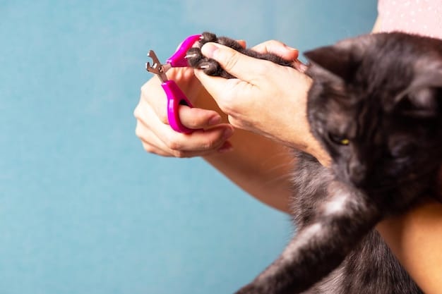 How to Trim Your Dog’s Nails: A Step-by-Step Guide