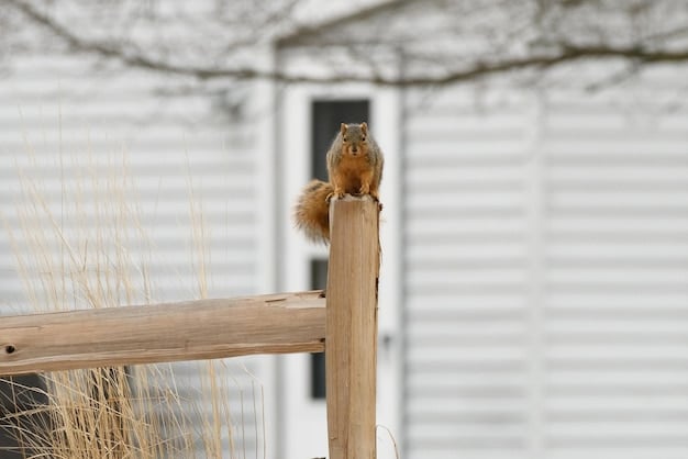 A cat is intently focused on a bird feeder outside a window, perched on a cat tree with various platforms and scratching posts.