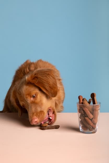 A dog is happily sniffing through a snuffle mat filled with hidden treats.