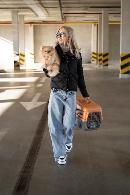The Ultimate Guide to Pet Carriers: Stress-Free Travel for Your Furry Friend