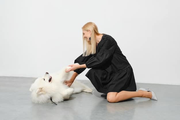 A woman is kneeling on the floor, gently measuring a medium-sized tan dog with a soft measuring tape. The dog is standing patiently, looking at the woman. They are in a brightly lit living room with hardwood floors.