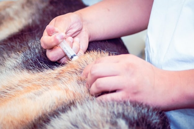 A veterinarian is performing an intradermal skin test on a dog, injecting small amounts of allergens under the skin. The dog is calm and the vet is focused.