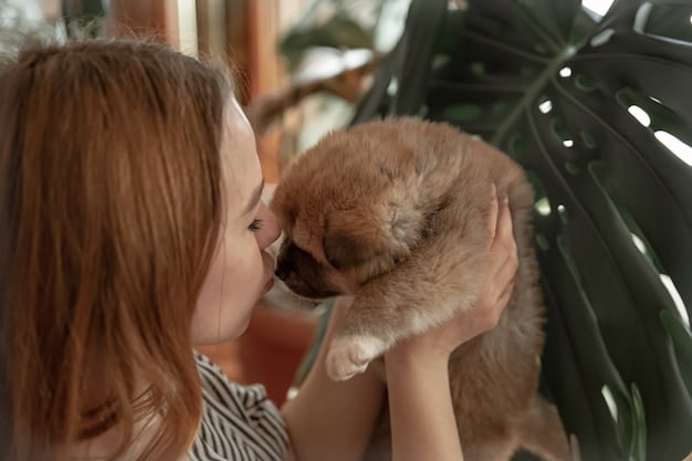 Introduce New Pet to Existing Pets: A Step-by-Step Guide