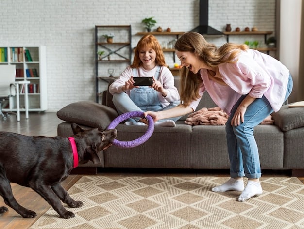 A wide shot of a well-lit living room showing two dogs playing tug-of-war with a rope toy while a cat observes them calmly from a nearby cat tree, showcasing a multi-pet household coexisting peacefully during playtime.