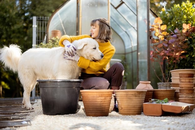 A well-organized garden shed with clearly labeled containers of gardening chemicals stored on high shelves, out of reach of a curious dog.