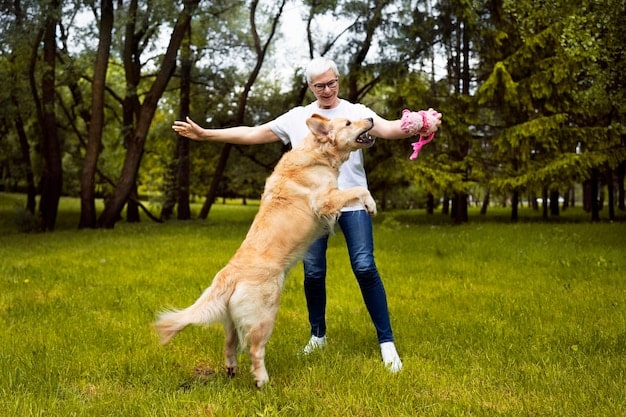 A border collie happily running in a park, chasing a frisbee, with lush green grass and trees in the background, and the owner smiling in the distance.