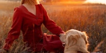 Dog Aggression Breakthrough: New Training Shows 15% Improvement - Cover Image