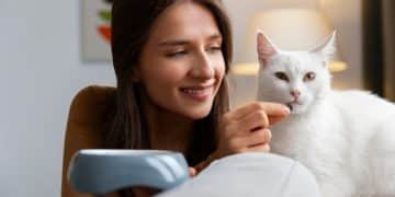 Clicker Training for Cats: A Step-by-Step Guide - Cover Image