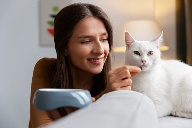 Clicker Training for Cats: A Step-by-Step Guide