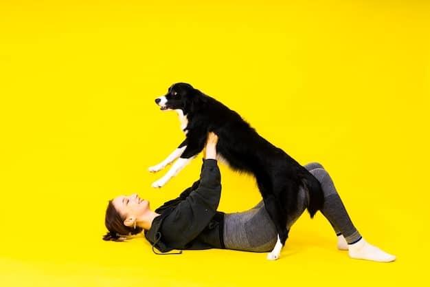 A split image showing the before-and-after of a dog's body language: tense and alert on the left, relaxed and focused on the right, demonstrating the effectiveness of redirection exercises.