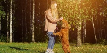 Recall Training Mastery: Get Your Dog to Come Back Every Time - Cover Image