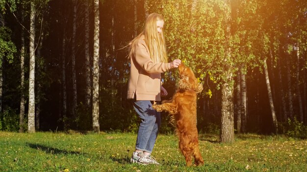 Recall Training Mastery: Get Your Dog to Come Back Every Time