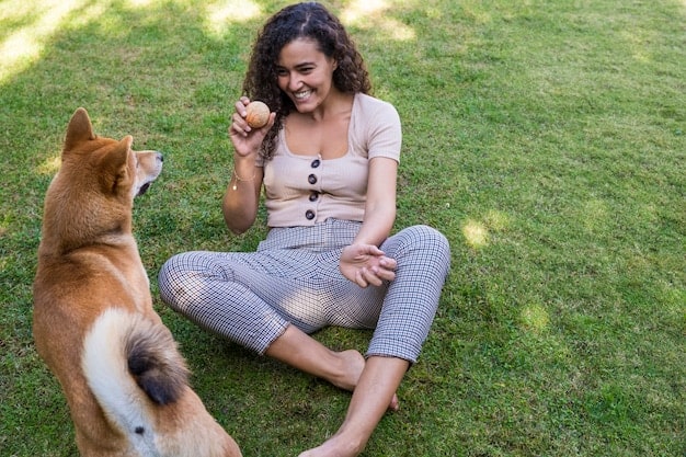 A young woman training her dog in a park. The dog is sitting patiently while the woman gives it a hand signal. They both appear focused and engaged in the training session.