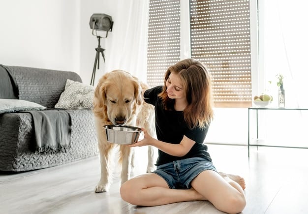 Stop Food Guarding: A Comprehensive Resource Aggression Training Guide