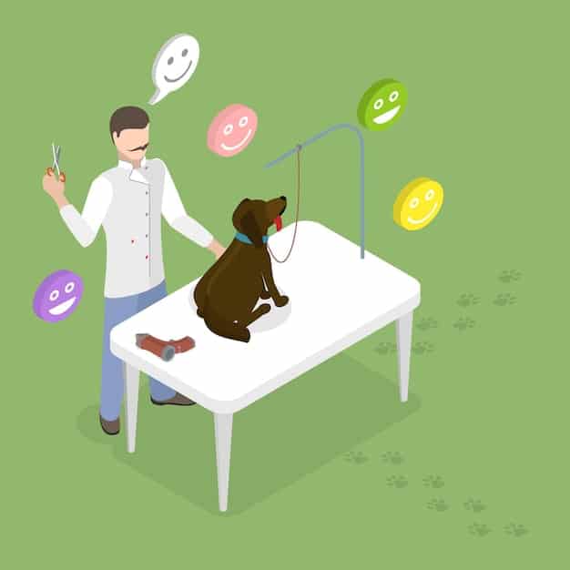 A veterinarian observes a dog cautiously during a food guarding assessment, positioned safely to record the dog's behavioral responses when approached with and without food.