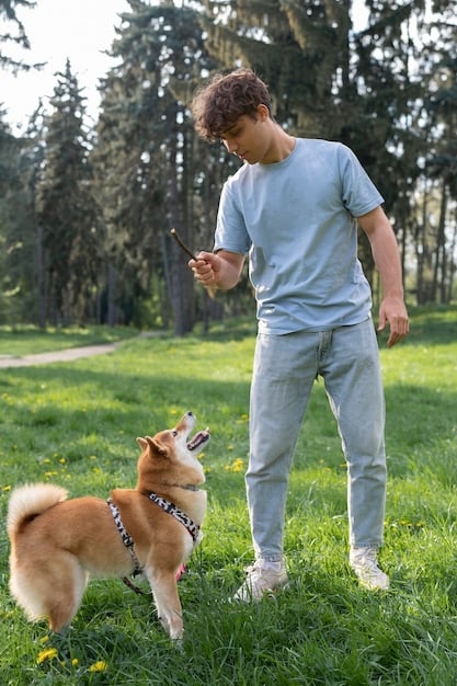 A dog trainer works patiently with a dog, standing a distance away while the dog eats, gradually decreasing the distance over sessions, reinforcing calm behavior with treats.