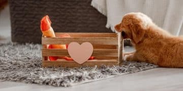 Crate Training Anxious Dogs: A Humane, Tear-Free Guide - Cover Image