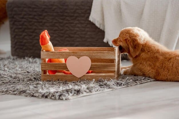 Crate Training Anxious Dogs: A Humane, Tear-Free Guide