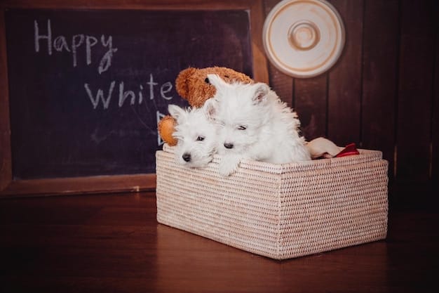A fluffy white dog happily lounging in a comfortable crate filled with soft blankets, chew toys, and a water bowl, illustrating a positive and inviting crate environment.