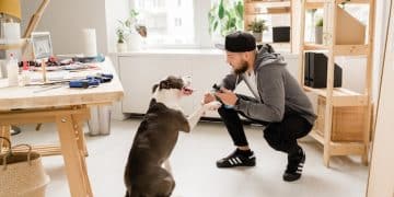 Solve Jumping Problems: Train Your Dog in 2 Weeks - Cover Image