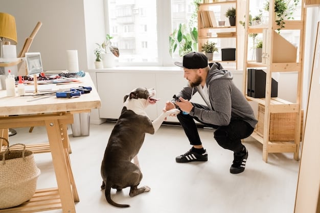 Solve Jumping Problems: Train Your Dog in 2 Weeks