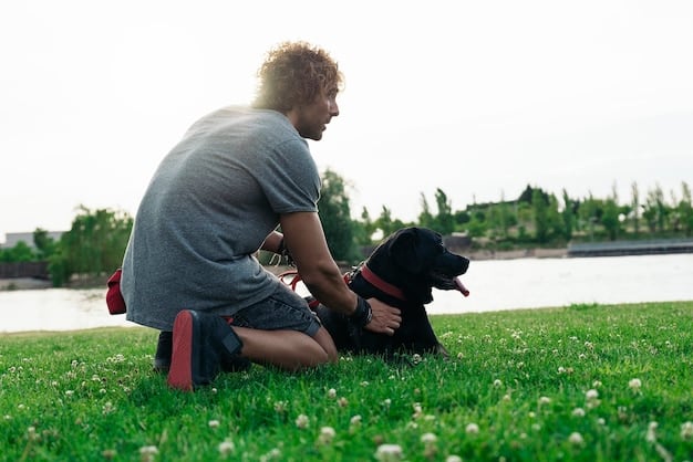 A person is calmly training a dog outdoors, using treats as positive reinforcement to teach the dog to sit and stay, avoiding jumping.