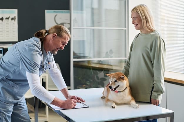 A veterinarian examining a senior dog in a clinic setting. The dog is standing on the examination table, and the veterinarian is gently palpating the dog's abdomen.