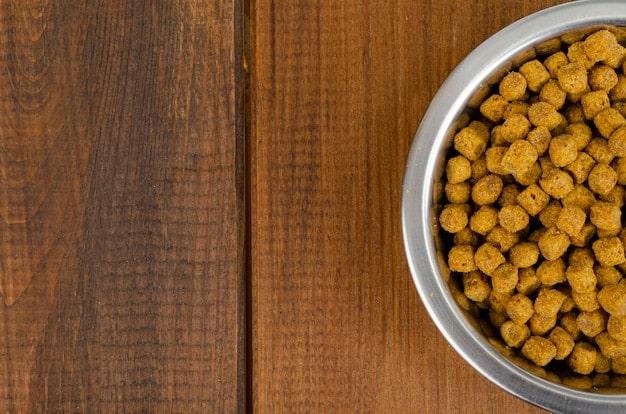 A close-up shot of a dog food bowl filled with nutritious dog food. The background is blurred, and the focus is on the food particles and texture.