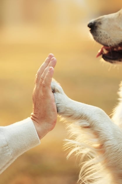 Stop Puppy Biting: Gentle Training Methods for Nipping and Mouthing