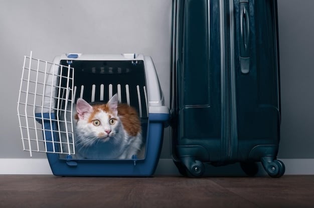 A cat inside a carrier during moving.