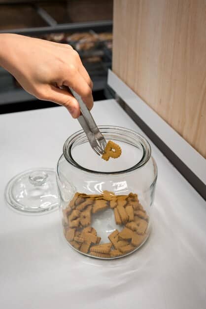 A person carefully comparing the guaranteed analysis sections of two different dog food labels, using a magnifying glass for closer inspection.