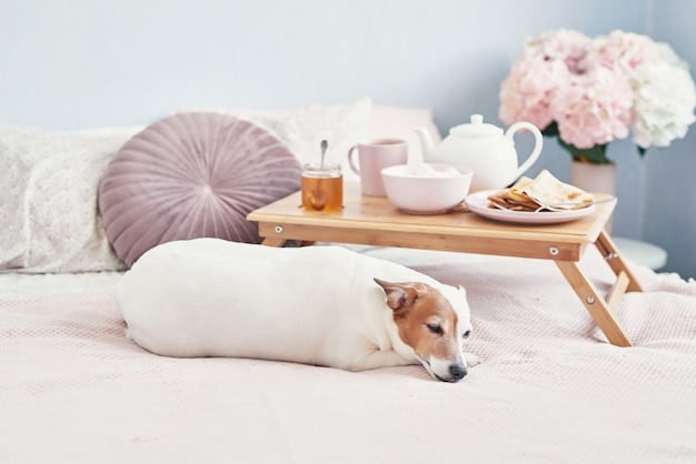 Is the 2025 Pet Bed Hype Real? Honest Reviews & Comfort Tests