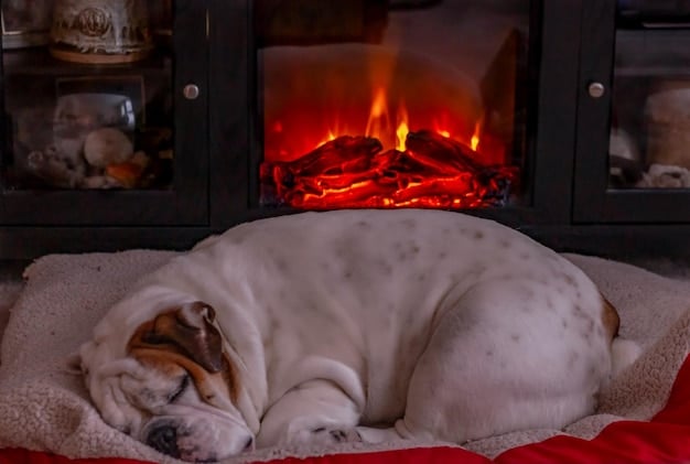 A medium sized dog curled up comfortably in a round pet bed with raised edges, giving it a sense of security. The bed is placed in front of a fireplace in a cozy setting.