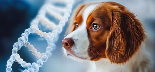 Dog DNA Tests 2025: Accuracy Review of Top Brands
