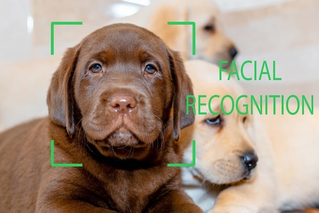 A split image showing two DNA test results for the same dog from different companies. The results show different breed compositions, highlighting the potential inconsistencies. The top half shows 