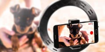 Pet Camera Reviews 2025: Top Security & Features for Your Furry Friend - Cover Image