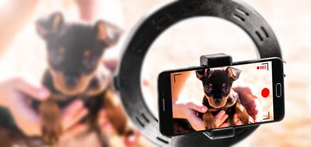 Pet Camera Reviews 2025: Top Security & Features for Your Furry Friend