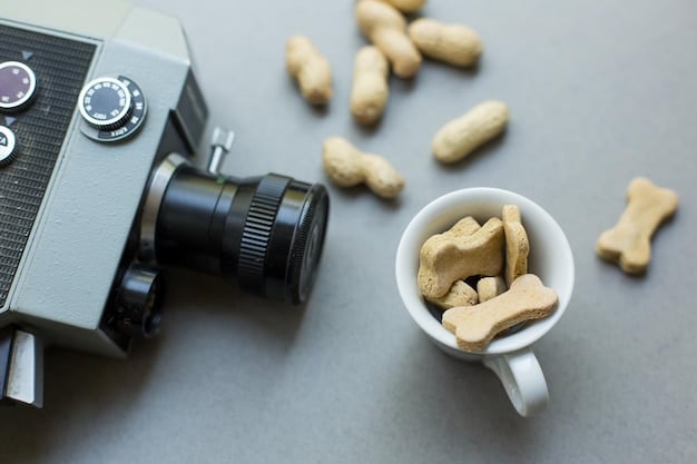 A close-up shot of a Furbo Dog Camera with treats being dispensed, showing the treat tossing mechanism and the dog eagerly waiting for them.