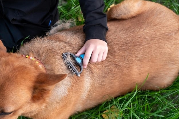 A veterinarian applying a topical flea and tick treatment to the back of a dog's neck. The dog is calm and comfortable, and the veterinarian is wearing gloves. The background shows a clean and professional veterinary clinic.